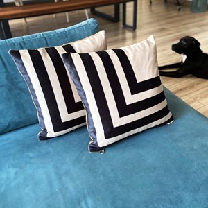 Stripes Velvet Pillow Set